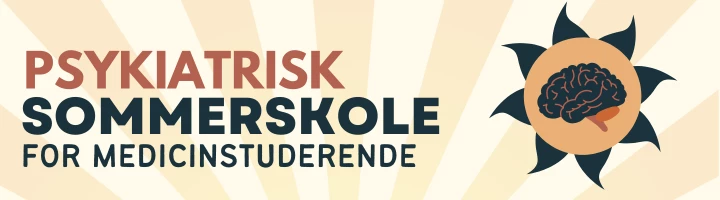Psykiatrisk Sommerskoles hjemmeside