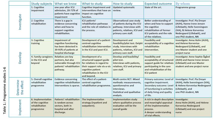 Programme studies