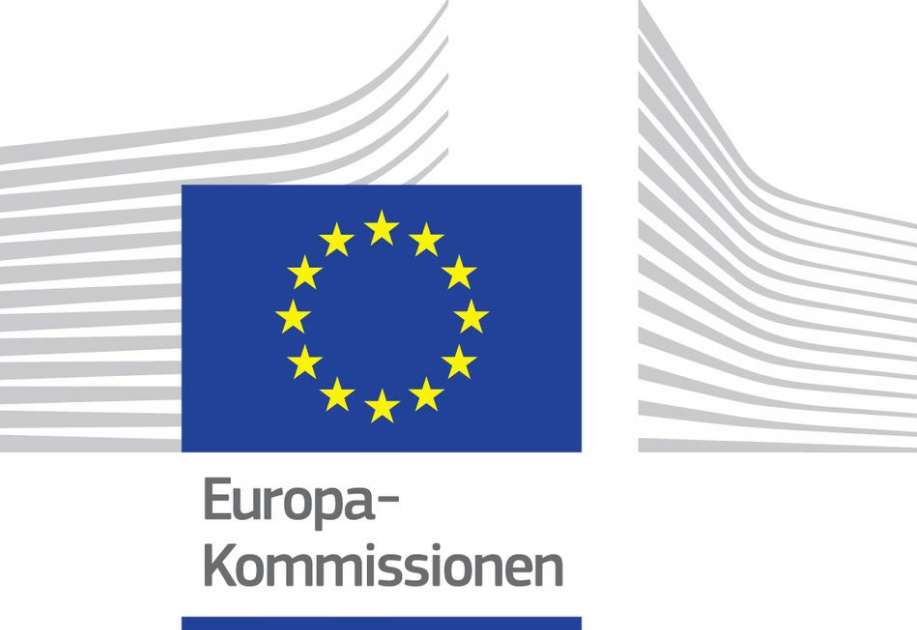 LOGO - EU kommission.png