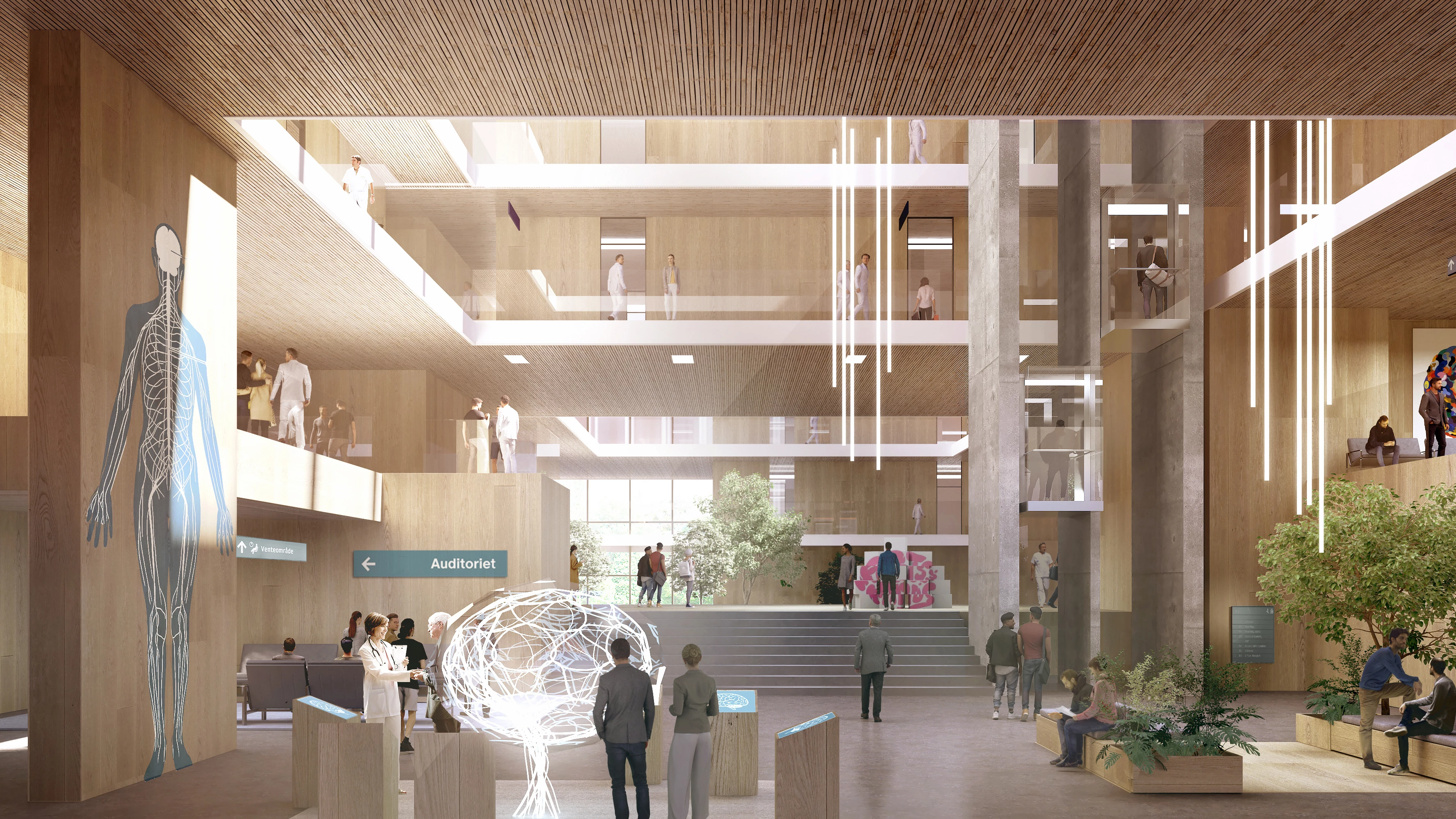 Foreløbig visionsskitse af HJERNEUNIVERSET, Kumulus