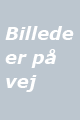 billede-paa-vej.gif